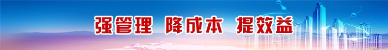 4008云顶集团(国际)股份有限公司